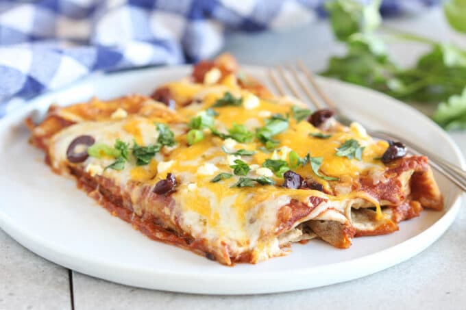 Two red sauce enchiladas on a white plate.