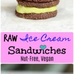 Raw Ice Cream Sandwich Pinterest