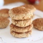 Low sugar snickerdoodles with oatmeal