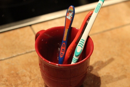 Three toothbrushes in a red mug.