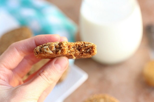Oatmeal Peanut Butter Cookie Snackers (Gluten-Free) 3