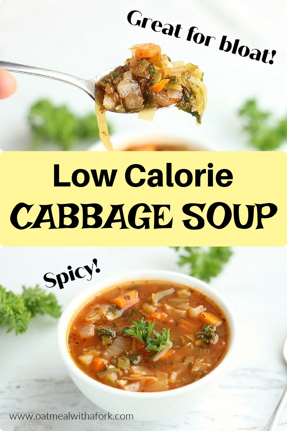 Low Calorie Spicy Cabbage Soup - Oatmeal with a Fork