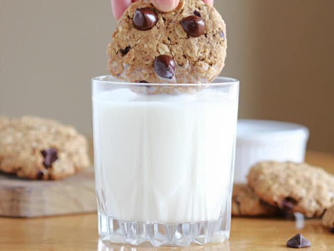 Chocolate chip cookie being dunked in a glass of milk.