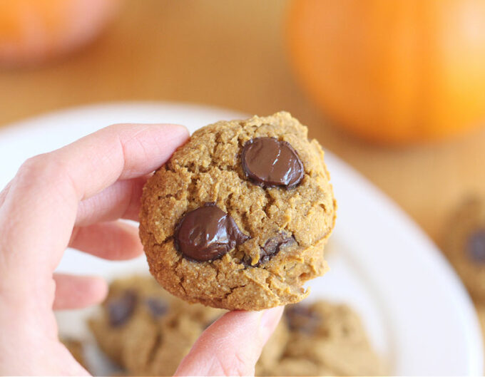Hand holding a pumpkin chocolate chip cookie.