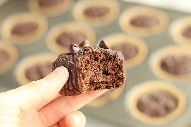 Low sugar chocolate muffins
