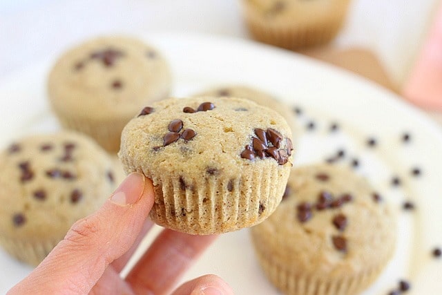 Chocolate chip muffins made with buckwheat and oats