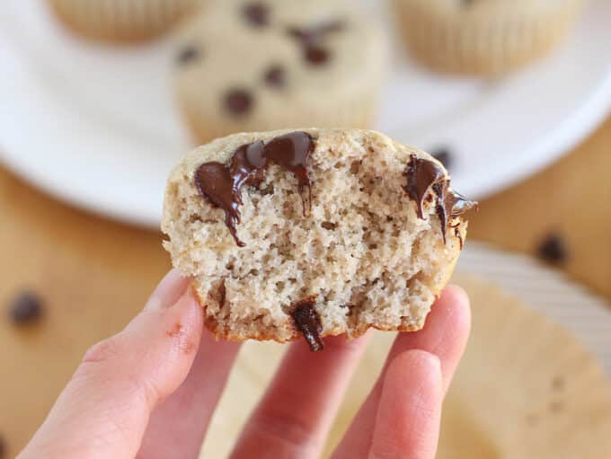 Half-eaten chocolate chip muffin in a woman's hand.