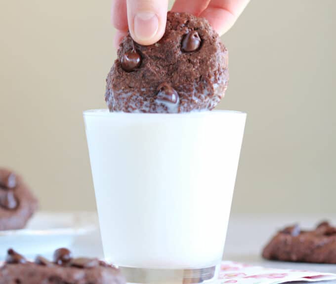 Dark chocolate cookie being dipped into a glass of milk.