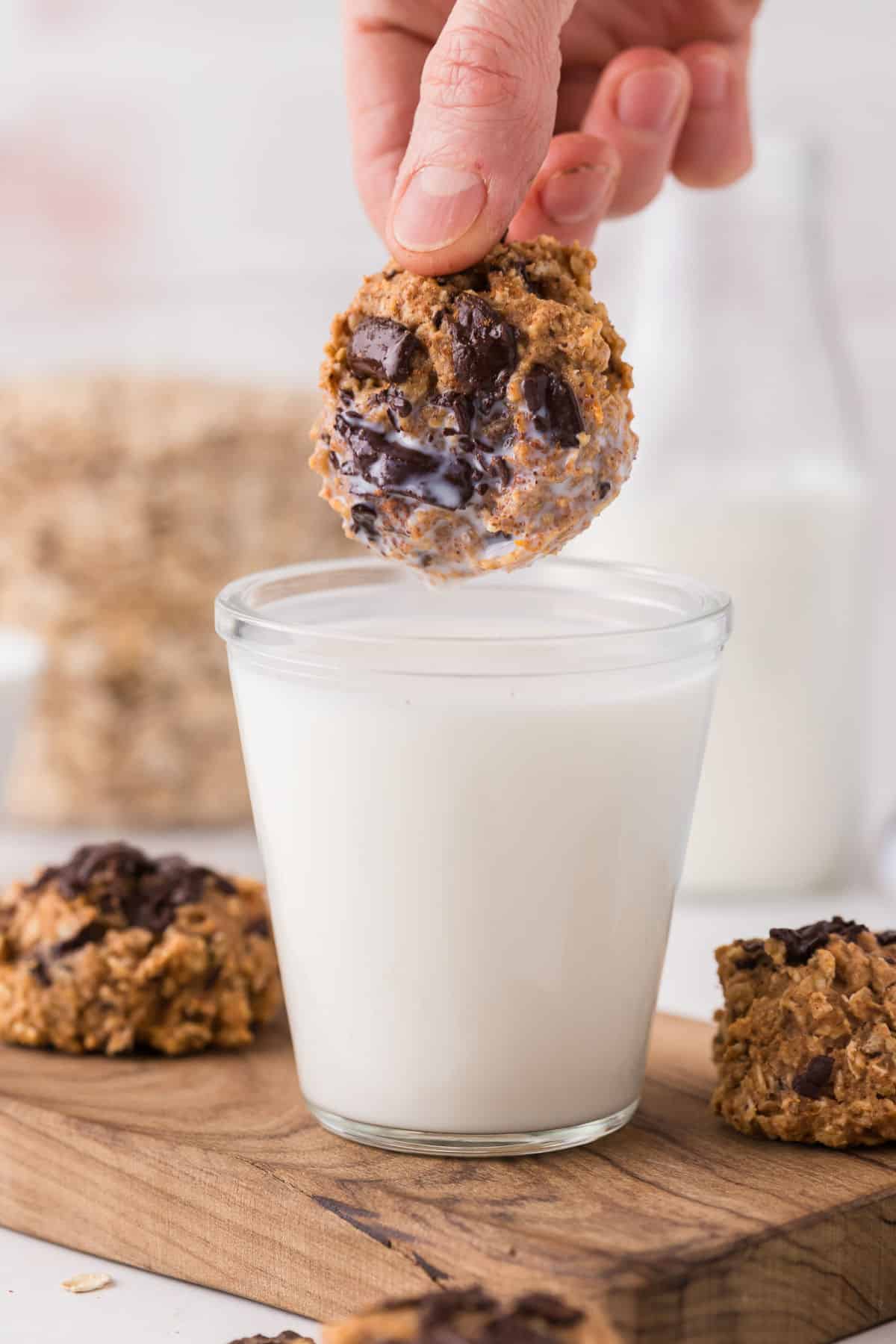 Chocolate chip cookie being dunked in milk.