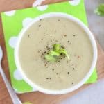 Instant Pot 'Cream' of Celery Soup