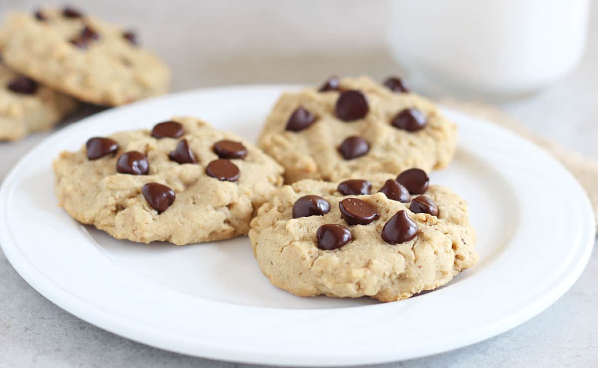 Oatmeal and Rice Flour Cookies Oatmeal with a Fork