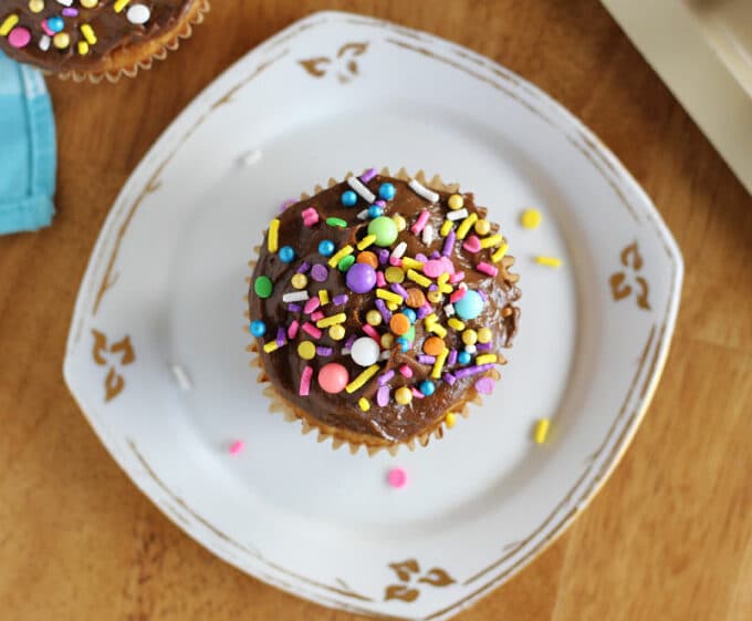 Healthy cupcake with chocolate frosting and sprinkles.