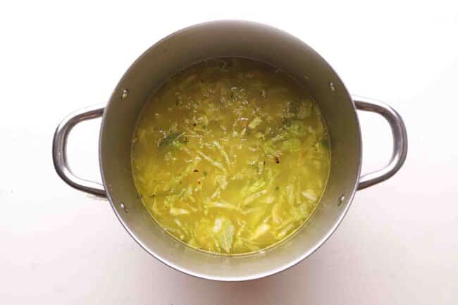 Cabbage soup in a pot.