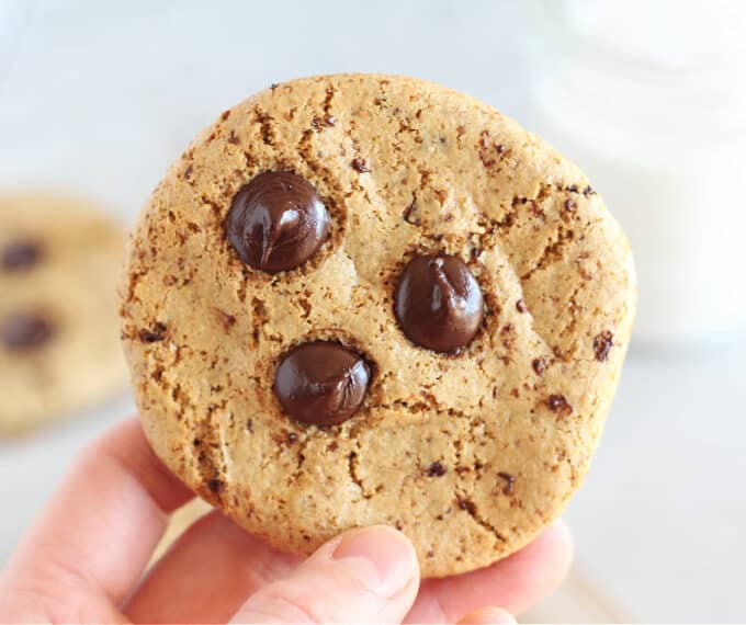 Hand holding a chocolate chip cookie.