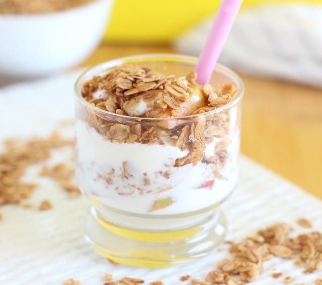 Low sugar granola recipe without nuts