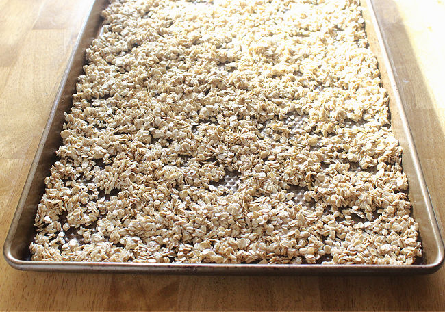 Oats spread out on a large baking pan.