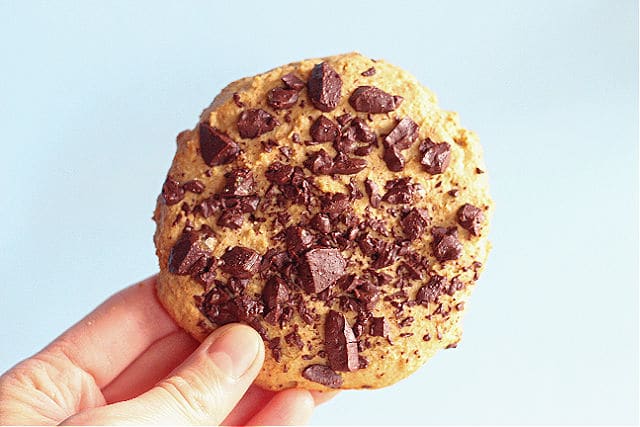 Sugarless cookie with chocolate chips and oats