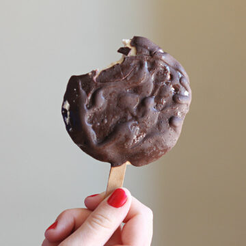 Hand holding a chocolate covered ice cream pop.