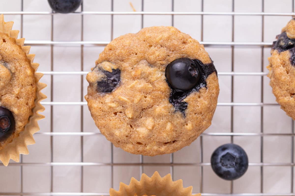 View of the top of a blueberry muffin on a cooling rack.