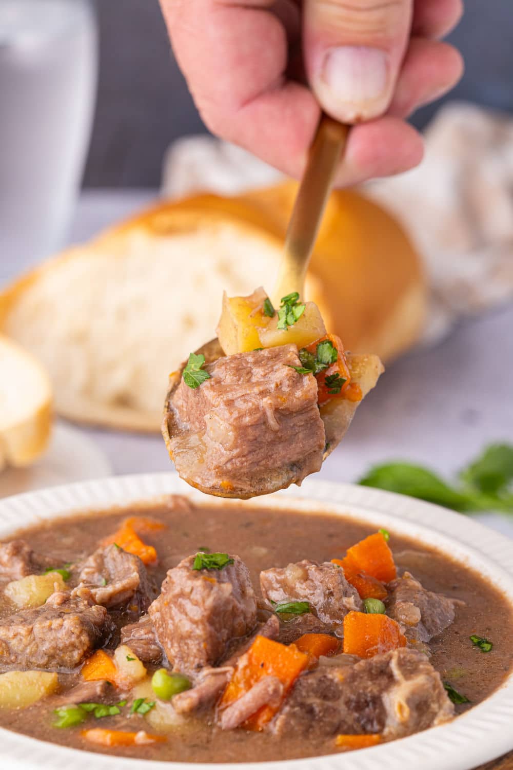 Crockpot Beef Stew (NO Tomato) Oatmeal with a Fork